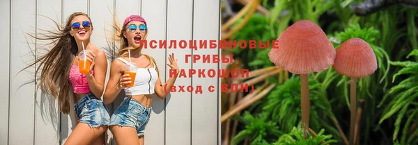 spice Алзамай