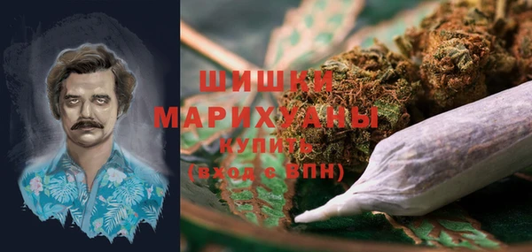 spice Алзамай