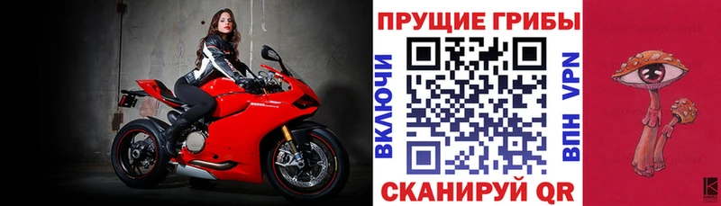 Галлюциногенные грибы прущие грибы  Белоозёрский 